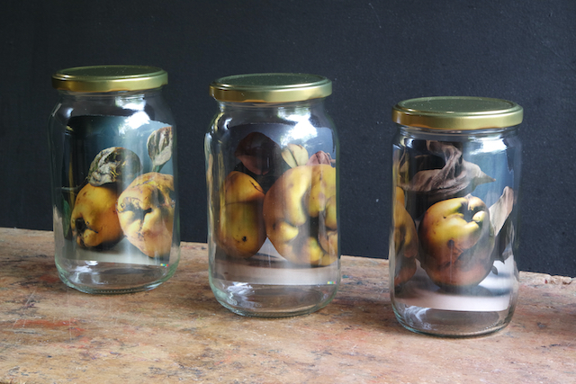 Kahlen-virtually-no-thing-2023-AI-generatedQuinces.jpeg (273853 Byte)