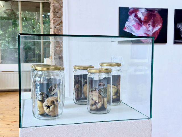 Kahlen-virtually-no-thing-2023-AI-generatedQuinces_w.jpeg (273853 Byte)